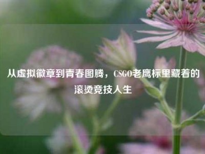 从虚拟徽章到青春图腾，CSGO老鹰标里藏着的滚烫竞技人生