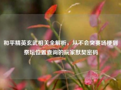 和平精英玄武相关全解析，从不会突赛场梗到祭坛位置查询的玩家默契密码