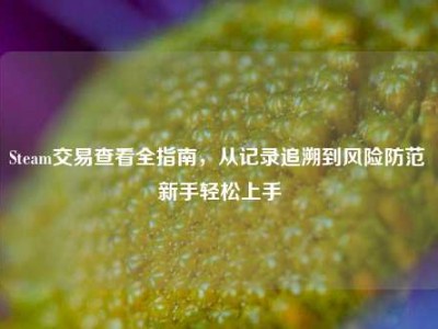 Steam交易查看全指南，从记录追溯到风险防范 新手轻松上手