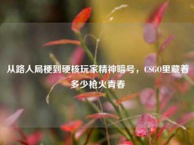 从路人局梗到硬核玩家精神暗号，CSGO里藏着多少枪火青春