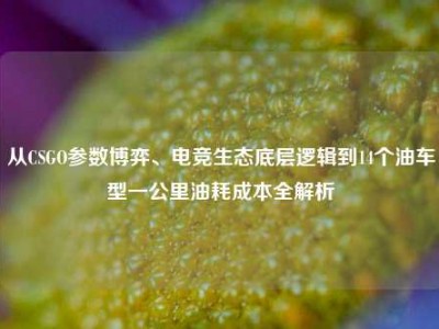 从CSGO参数博弈、电竞生态底层逻辑到14个油车型一公里油耗成本全解析