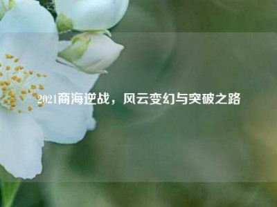 2021商海逆战，风云变幻与突破之路
