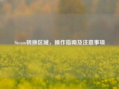 Steam转换区域，操作指南及注意事项