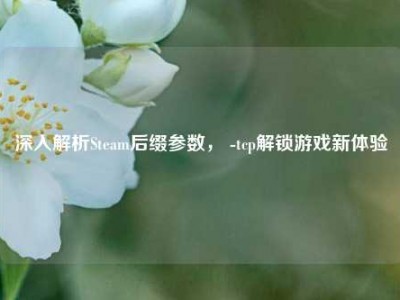 深入解析Steam后缀参数， -tcp解锁游戏新体验