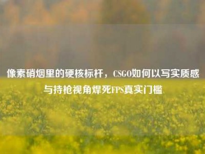 像素硝烟里的硬核标杆，CSGO如何以写实质感与持枪视角焊死FPS真实门槛