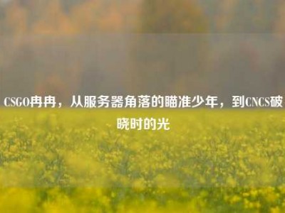CSGO冉冉，从服务器角落的瞄准少年，到CNCS破晓时的光
