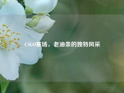 CSGO赛场，老油条的独特风采