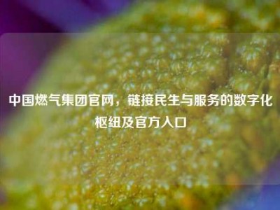 中国燃气集团官网，链接民生与服务的数字化枢纽及官方入口