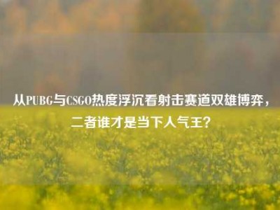 从PUBG与CSGO热度浮沉看射击赛道双雄博弈，二者谁才是当下人气王？