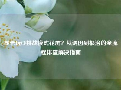 显卡玩CF挑战模式花屏？从诱因到根治的全流程排查解决指南