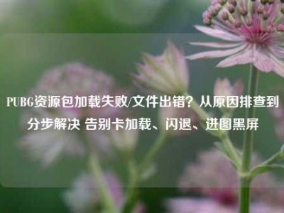 PUBG资源包加载失败/文件出错？从原因排查到分步解决 告别卡加载、闪退、进图黑屏