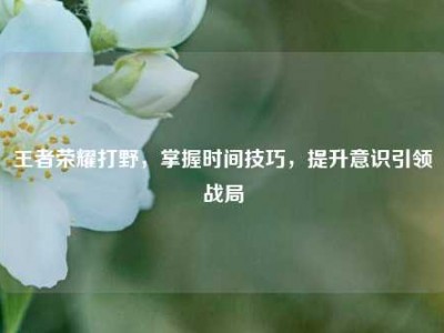 王者荣耀打野，掌握时间技巧，提升意识引领战局