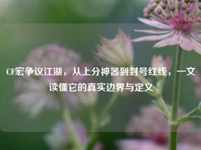 CF宏争议江湖，从上分神器到封号红线，一文读懂它的真实边界与定义