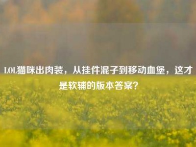 LOL猫咪出肉装，从挂件混子到移动血堡，这才是软辅的版本答案？