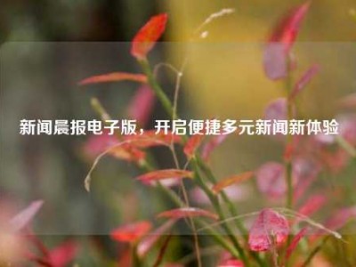 新闻晨报电子版，开启便捷多元新闻新体验