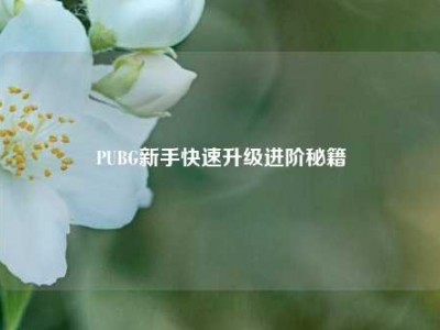 PUBG新手快速升级进阶秘籍