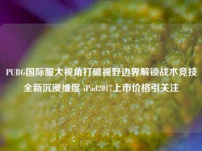 PUBG国际服大视角打破视野边界解锁战术竞技全新沉浸维度 iPad2017上市价格引关注