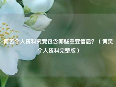 何苦个人资料究竟包含哪些重要信息？（何炅个人资料完整版）