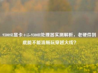 9300SE显卡+i5-9300H处理器实测解析，老硬件到底能不能流畅玩穿越火线？