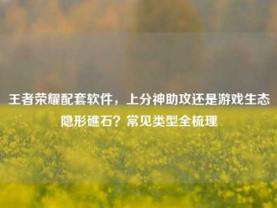王者荣耀配套软件，上分神助攻还是游戏生态隐形礁石？常见类型全梳理
