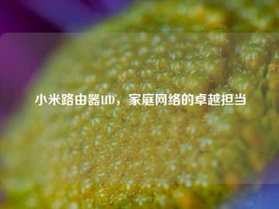 小米路由器HD，家庭网络的卓越担当