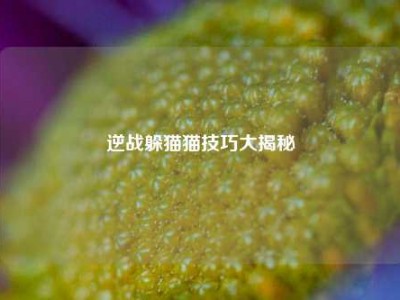 逆战躲猫猫技巧大揭秘