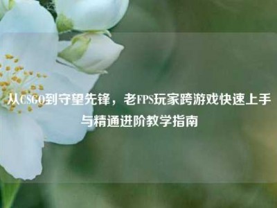 从CSGO到守望先锋，老FPS玩家跨游戏快速上手与精通进阶教学指南