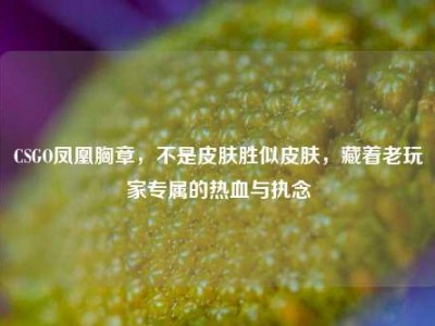 CSGO凤凰胸章，不是皮肤胜似皮肤，藏着老玩家专属的热血与执念