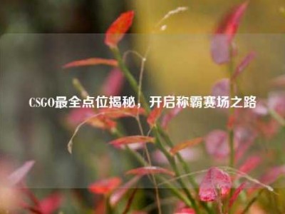 CSGO最全点位揭秘，开启称霸赛场之路