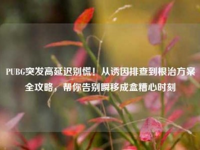 PUBG突发高延迟别慌！从诱因排查到根治方案全攻略，帮你告别瞬移成盒糟心时刻