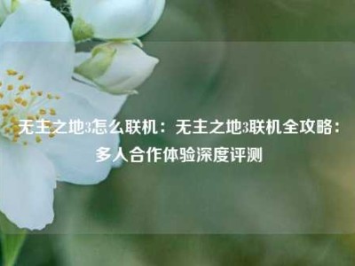 无主之地3怎么联机：无主之地3联机全攻略：多人合作体验深度评测
