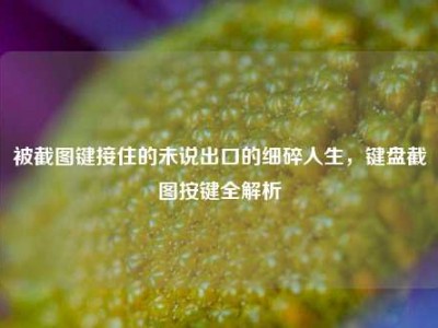 被截图键接住的未说出口的细碎人生，键盘截图按键全解析
