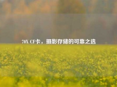 70X CF卡，摄影存储的可靠之选