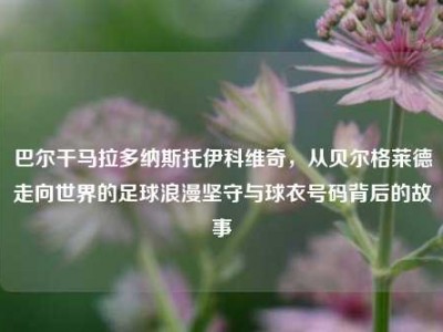 巴尔干马拉多纳斯托伊科维奇，从贝尔格莱德走向世界的足球浪漫坚守与球衣号码背后的故事