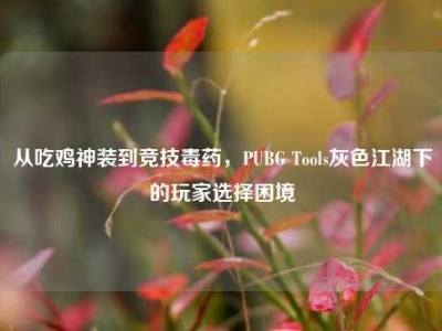 从吃鸡神装到竞技毒药，PUBG Tools灰色江湖下的玩家选择困境