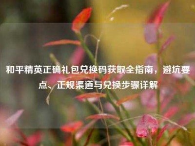 和平精英正确礼包兑换码获取全指南，避坑要点、正规渠道与兑换步骤详解