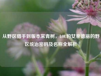 从野区猎手到版本常青树，LOL豹女奈德丽的野区统治密码及名称全解析