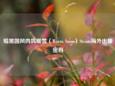 暗黑国风肉鸽暖雪（Warm Snow）Steam海外出圈密码