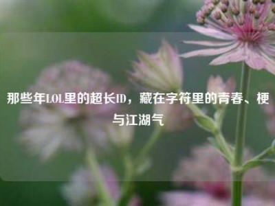 那些年LOL里的超长ID，藏在字符里的青春、梗与江湖气
