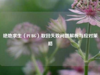 绝地求生（PUBG）取回失败问题解析与应对策略
