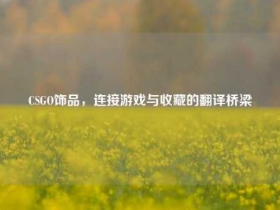 CSGO饰品，连接游戏与收藏的翻译桥梁