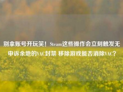 别拿账号开玩笑！Steam这些操作会立刻触发无申诉余地的VAC封禁 移除游戏能否消除VAC？