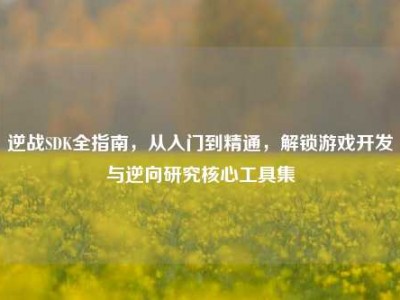 逆战SDK全指南，从入门到精通，解锁游戏开发与逆向研究核心工具集