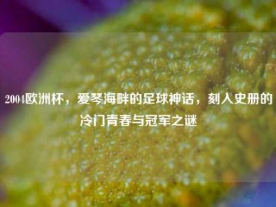 2004欧洲杯，爱琴海畔的足球神话，刻入史册的冷门青春与冠军之谜