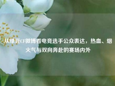 从绿豆CF微博看电竞选手公众表达，热血、烟火气与双向奔赴的赛场内外