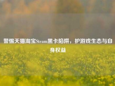 警惕天猫淘宝Steam黑卡陷阱，护游戏生态与自身权益