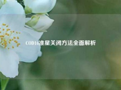COD16准星关闭方法全面解析