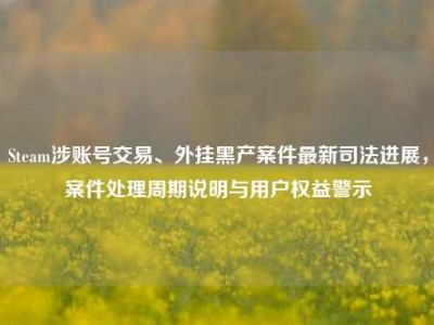 Steam涉账号交易、外挂黑产案件最新司法进展，案件处理周期说明与用户权益警示