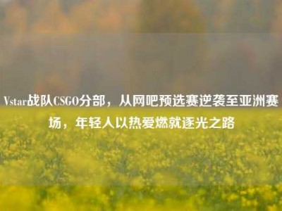 Vstar战队CSGO分部，从网吧预选赛逆袭至亚洲赛场，年轻人以热爱燃就逐光之路