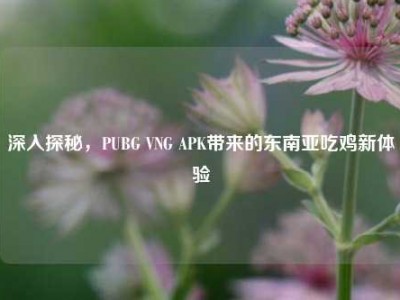 深入探秘，PUBG VNG APK带来的东南亚吃鸡新体验